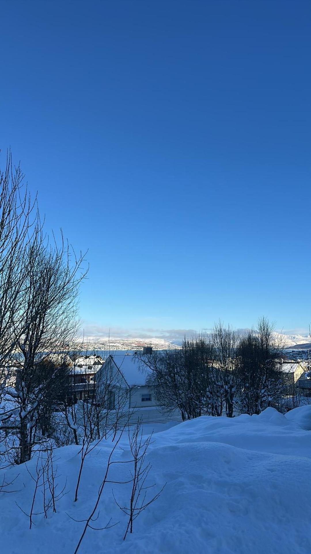 Rom Sentralt I Tromso * Tromsø